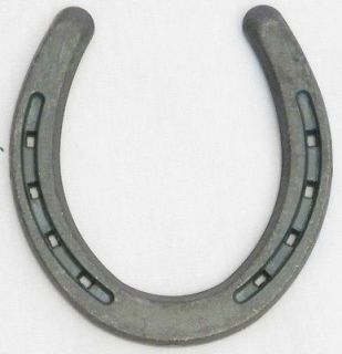 Lucky Horseshoe Good Luck Charm   Real Genuine Authentic Actual Full 