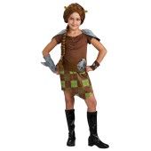 Kids Shrek Costumes   Childrens Shrek The Third Costumes   BuyCostumes 