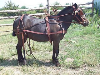 USA Made Russet Leather Cart Harness Mini Horse, Mini Donkeyor 