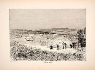 1890 Wood Engraving (Photoxylograph) Zulu Africa Kraal Hut Indigenous 