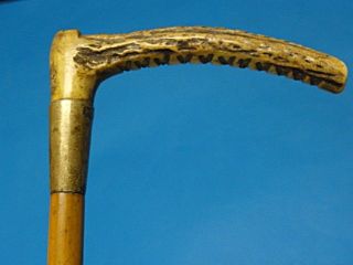 FANTASTIC ZAHIR ANTLER WITH BRASS MOUNT SWAGGER STICK STAFF STICK CANE 