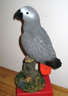 AFRICAN GREY PARROT FIGURINE STATUE NEW 10 1/2 inch New
