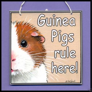 guinea pig houses in Small Animal Supplies