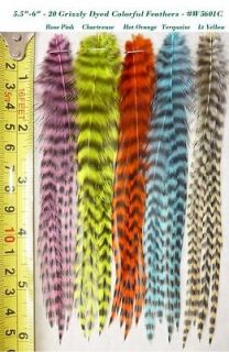 20 Whiting Grizzly Feathers for Hair Extension and Fly Tying, #5601C 6 