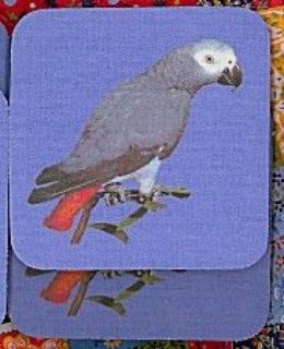 AFRICAN GREY PARROT Rubber Backed Coasters #0286