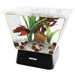betta fish tanks in Aquariums