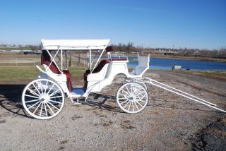  horse drawn vis a vis wedding carriage by Robert Carriages 