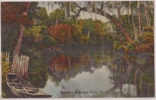   Postcard Suwannee River Boat Swamp Linen 1956 Lake Worth Florida