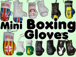 Mini boxing gloves of country flags, various design to carry, decor 