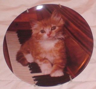 Kitten On The Keys Crestley Collectible Plate Cat