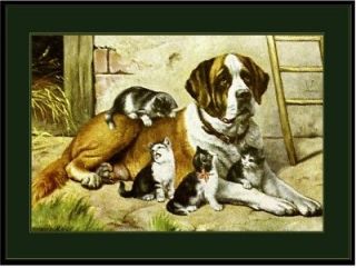 english picture print saint bernard dog kitten cat art time