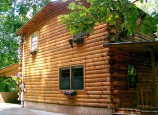 smoky mountains pigeon forge tn cabin rental lone wolf game