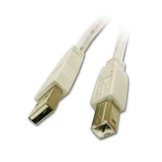 Cables To Go USB 2.0 A Male to B Male Cable for Casio EX Series, HP 