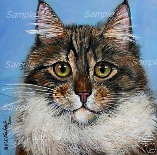 MAINE COON TABBY CAT GICLEE of Painting Kitten Longhair Kristine 