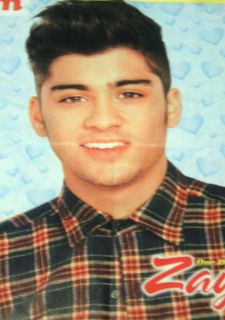 NEW   One Direction (1D) Zayn Malik 16x20 Poster b/w Niall Horan 