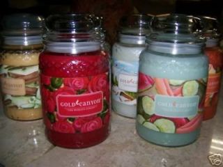 GOLD CANYON Candle LARGE 26z Or 19z U Pick  56 Choices  You Pick Your 