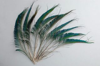 1,000 Pcs PEACOCK SWORDS Natural Tail Feathers 10 12 Craft/Art/Cost 