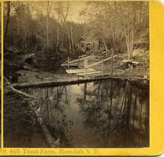 Kilburn Stereo Views, Trout Farm, Meredith in New Hampshires White 