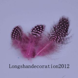Free ship 100pcs Real,Natural Guinea fowl Feather 2.3～5.0in High 