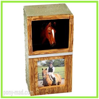 BNIB Border Fine Arts ~ Horse Pony Design Money Box Piggy Bank & Photo 