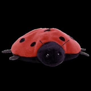 TY LUCKY the LADYBUG BEANIE BABY   MINT with TAGS   CT PLEASE READ