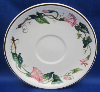   Saucer Only Villeroy Boch PALERMO Pink Morning Glories Border A++