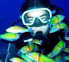 open water scuba and diver diving manuals scuba from australia