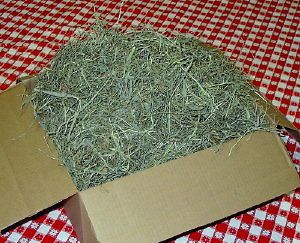 lb 2nd cut timothy hay clover guinea pig rabbit