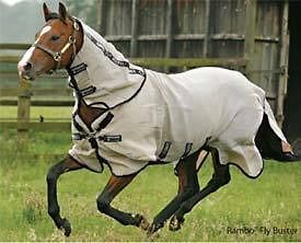horse fly sheet in Horse Blankets & Sheets