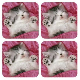 Colourpoint Long haired Himalayan Cat Sleep Coaster Mat 4 Pcs
