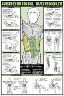 abdominal workout wall chart fitness training poster from canada 