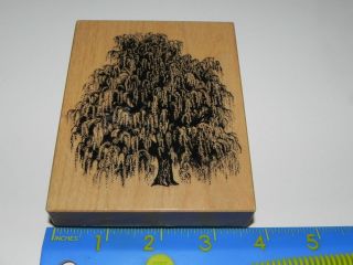 1995 psx k 1455 weeping willow tree rubber stamp time