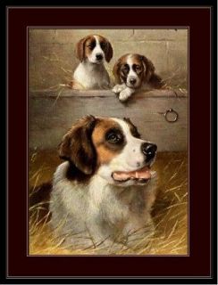 english print saint st bernard dog puppies art picture time