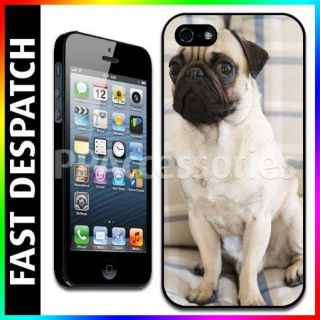 pug on sofa hard case back cover for apple iphone 5 more options 