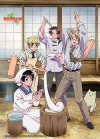 Hetalia Axis Powers Wall Scroll Poster Anime Cloth Licensed MINT