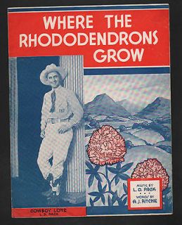 where the rhododendrons grow 1936 cowboy loye 