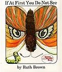 If at First You Do Not See by Ruth Brown (1989, Paperback, Reprint)