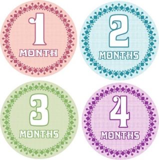 zen monthly baby growth onesie stickers for photos time left