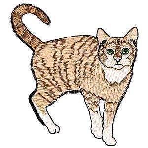 brown bengal kitty cat mysterious rare iron on patch time
