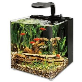 fish tanks aqueon evolve led aquarium kit  49 99  
