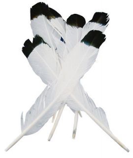 Simulated Eagle Feathers 4/Pkg White With Black Tip 684653381800