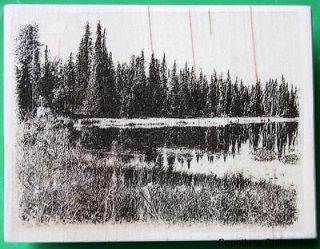 Alaska Trees Lake Scenery Scene Scape Background Rubber Stamp Toad 