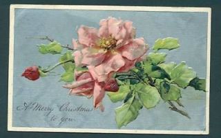 s7526 catherine klein postcard pink wild roses 
