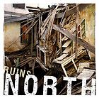 North ‎– Ruins Vinyl Record Cavity Records Colored Kick