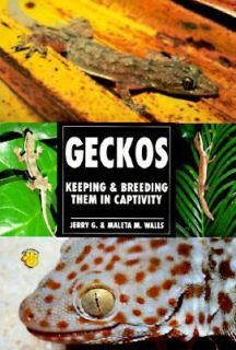 Geckos by Jerry G. Walls and Maleta Walls 1997, Paperback