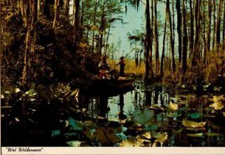 postcard 901130 we wilderness swamp boat ga 