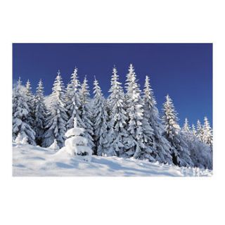 Winter Scene Backdrop Banner / CHRISTMAS (4/5281)