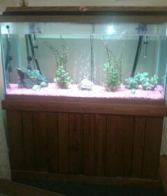 90 gallon Fish Tank/Aquarium with oak stand & all parts, 2yrs old