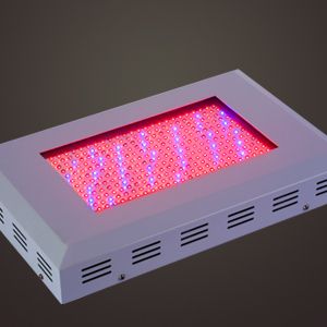 300W Full Spectrum Tri Band Hydroponic LED Grow Light