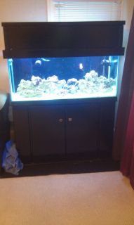 75 Gallon Saltwater Fish Tank Aquarium Reef Ready